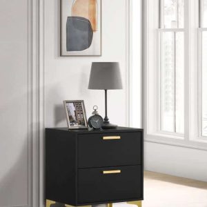 Kendall 2-Drawer Nightstand Black and Gold