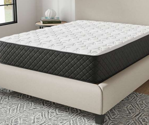 GIS123B Twin Mattress